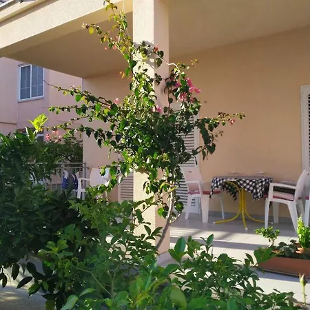 Mimosa Villa Orebic Exterior photo