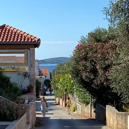 Mimosa Villa Orebic Exterior photo