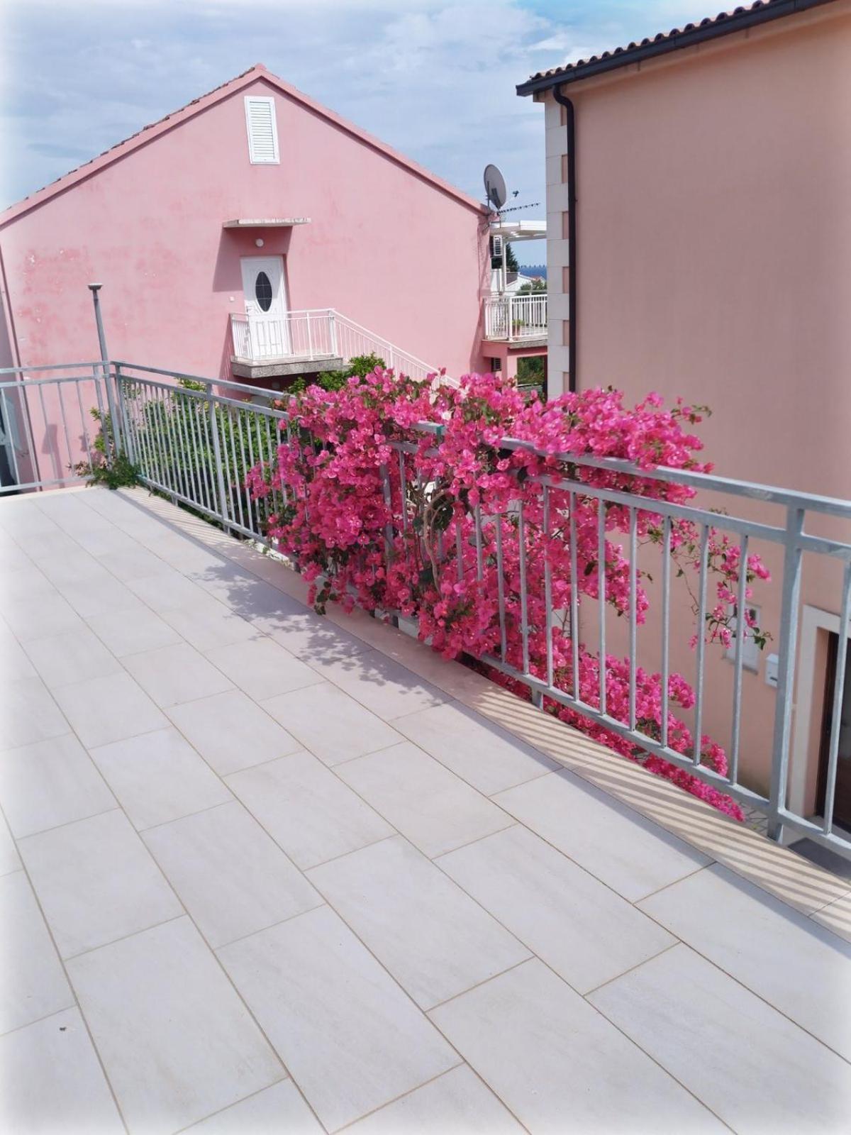 Mimosa Holiday home